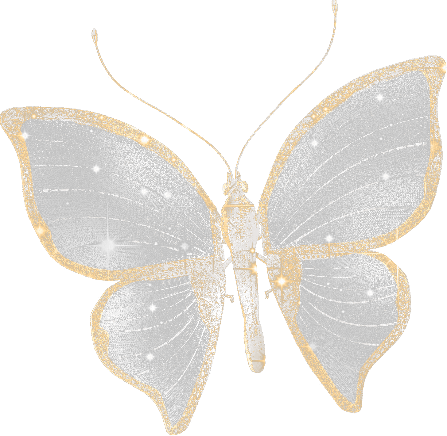 Бриллиантовая бабочка